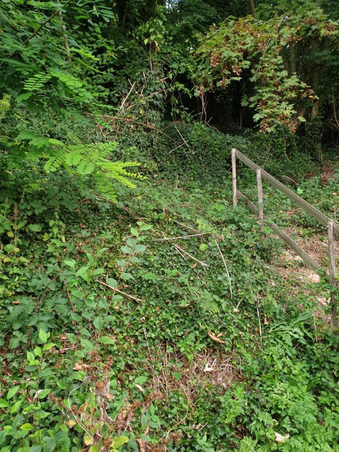 Villa À flanc de colline Cormeilles  Esterno foto